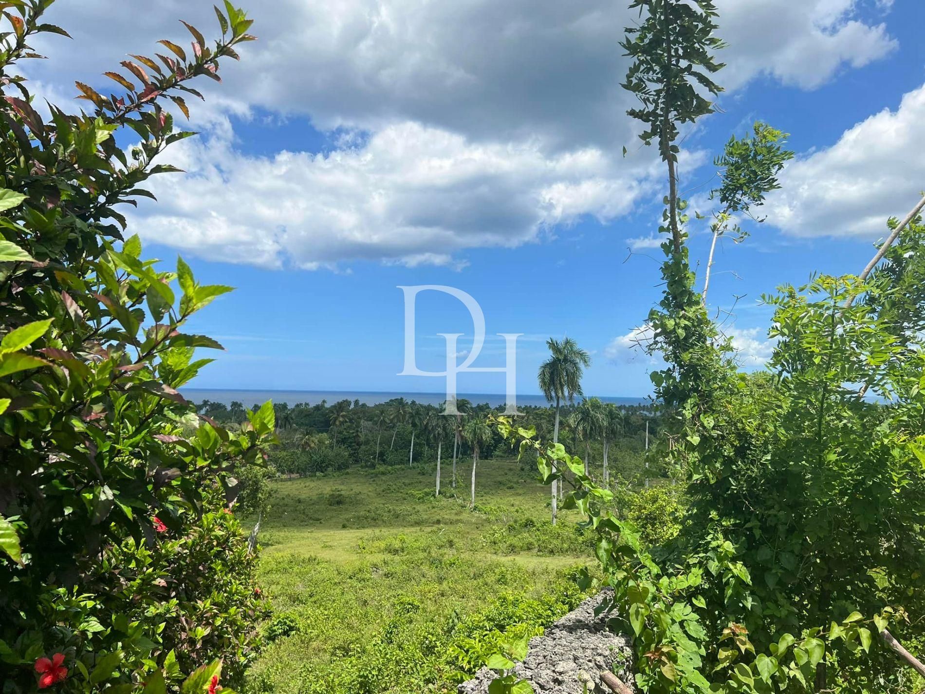 Участок в Кабарете, Доминиканская республика, 5 514м2 - стоимость 125&nbsp;000$ - Ref: 79474 фото 4