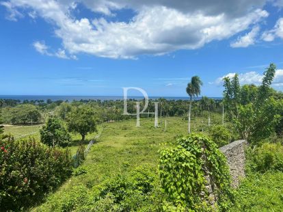 Участок в Кабарете, Доминиканская республика, 5 514м2 - стоимость 125&nbsp;000$ - Ref: 79474 фото 3