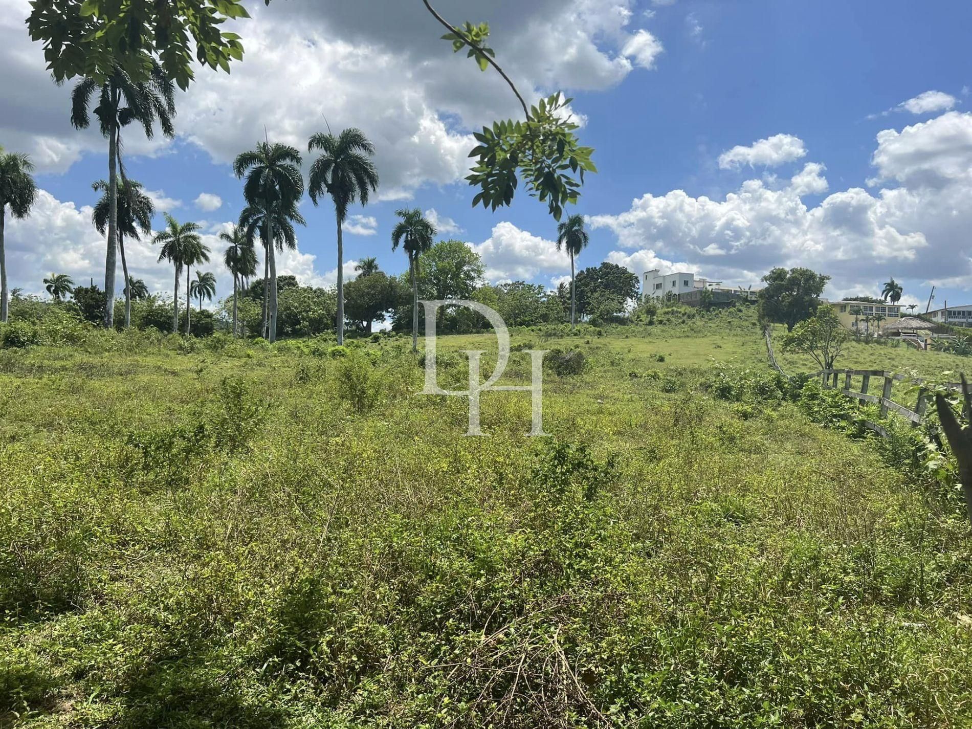 Участок в Кабарете, Доминиканская республика, 5 514м2 - стоимость 120&nbsp;000$ - Ref: 79506 фото 1