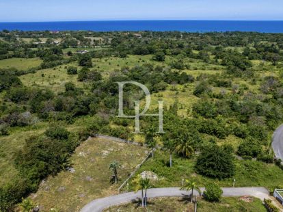 Участок в Кабарете, Доминиканская республика за 63 600$ (ID:79503)