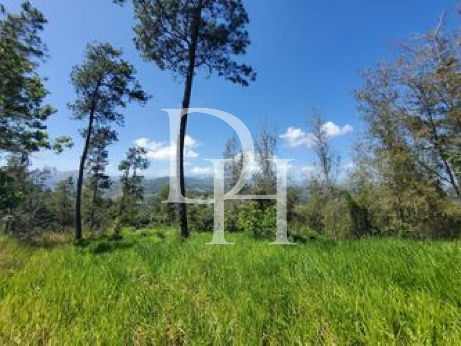 Участок в Харабакоа, Доминиканская республика, 1 000м2 - стоимость 55&nbsp;000$ - Ref: 79531 фото 2