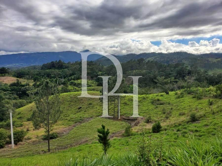 Участок в Харабакоа, Доминиканская республика, 1 000м2 - стоимость 55&nbsp;000$ - Ref: 79531 фото 3