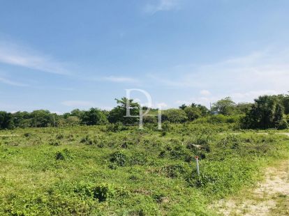 Участок в Кабарете, Доминиканская республика, 1 000м2 - стоимость 127&nbsp;500$ - Ref: 79550 фото 2