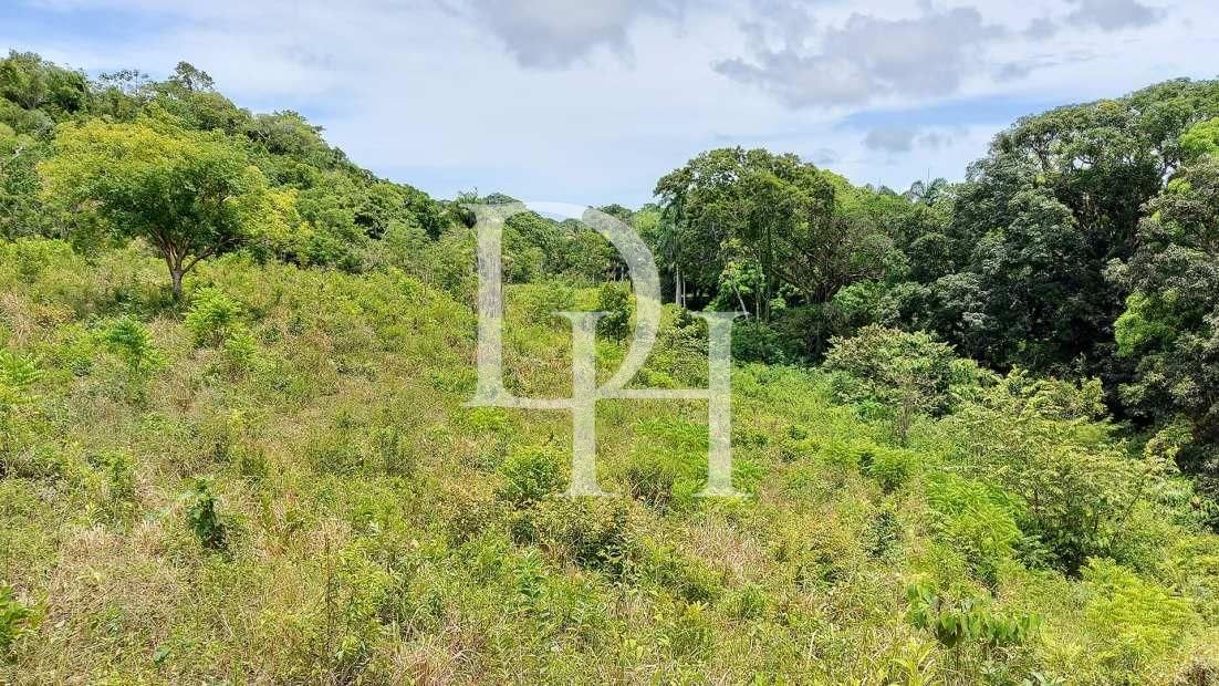 Участок в Сосуа, Доминиканская республика, 45 000м2 - стоимость 1&nbsp;000&nbsp;000$ - Ref: 79563 фото 2