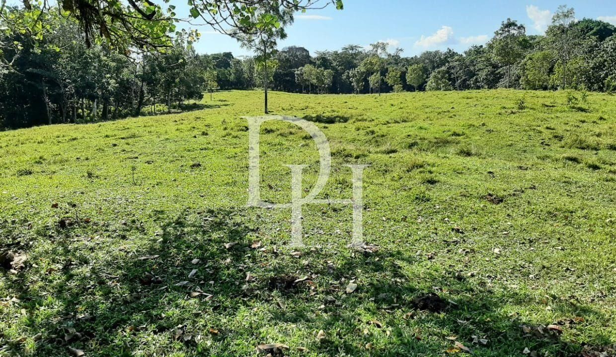 Участок в Кабарете, Доминиканская республика, 536 924м2 - стоимость 467&nbsp;000$ - Ref: 79555 фото 10