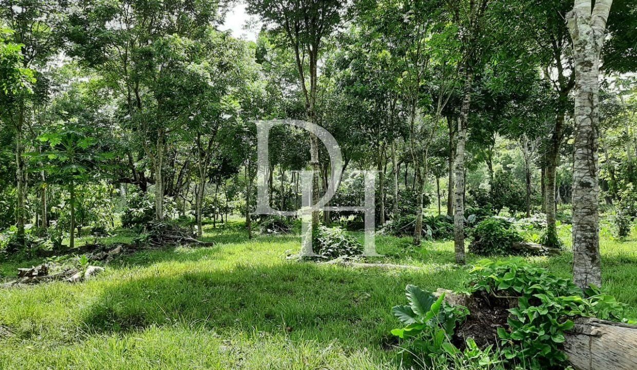 Участок в Кабарете, Доминиканская республика, 536 924м2 - стоимость 467&nbsp;000$ - Ref: 79555 фото 12