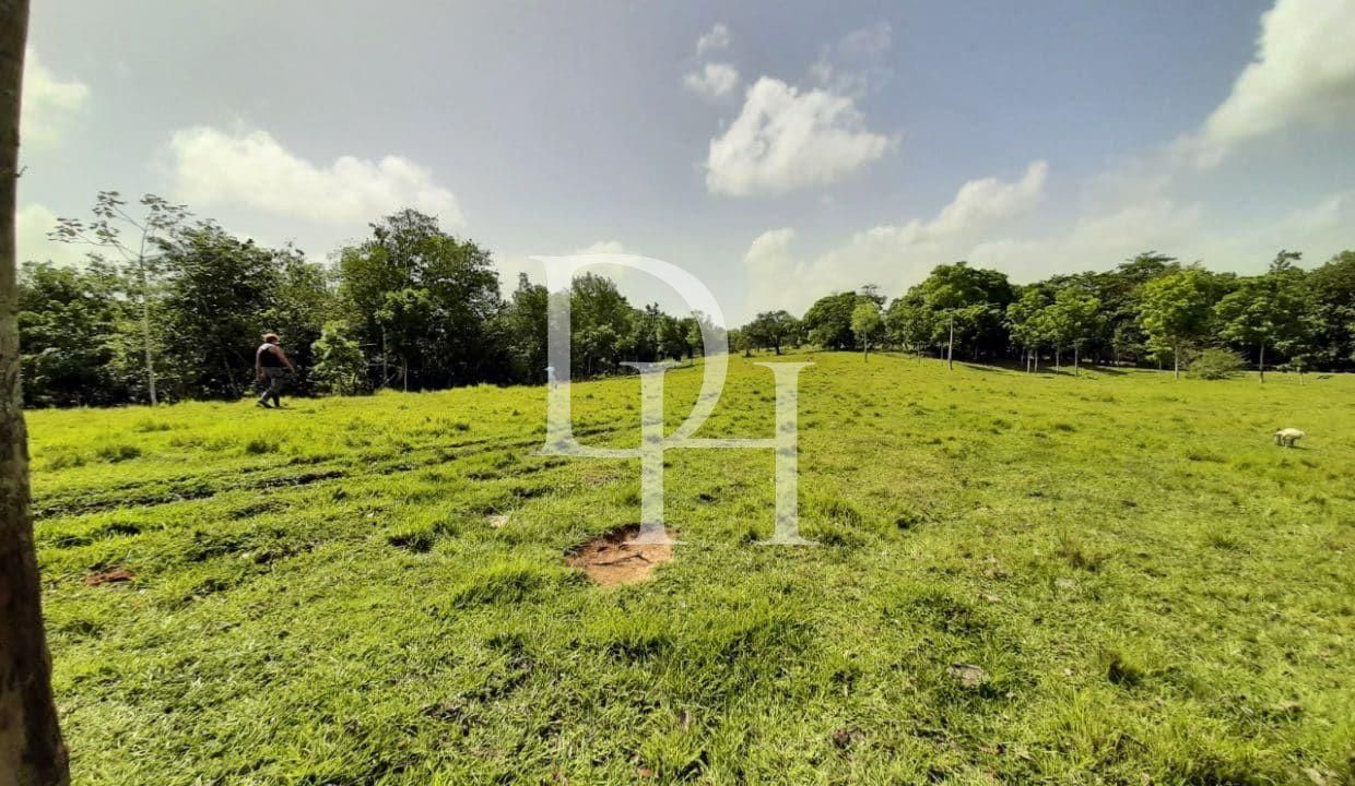 Участок в Кабарете, Доминиканская республика, 536 924м2 - стоимость 467&nbsp;000$ - Ref: 79555 фото 3