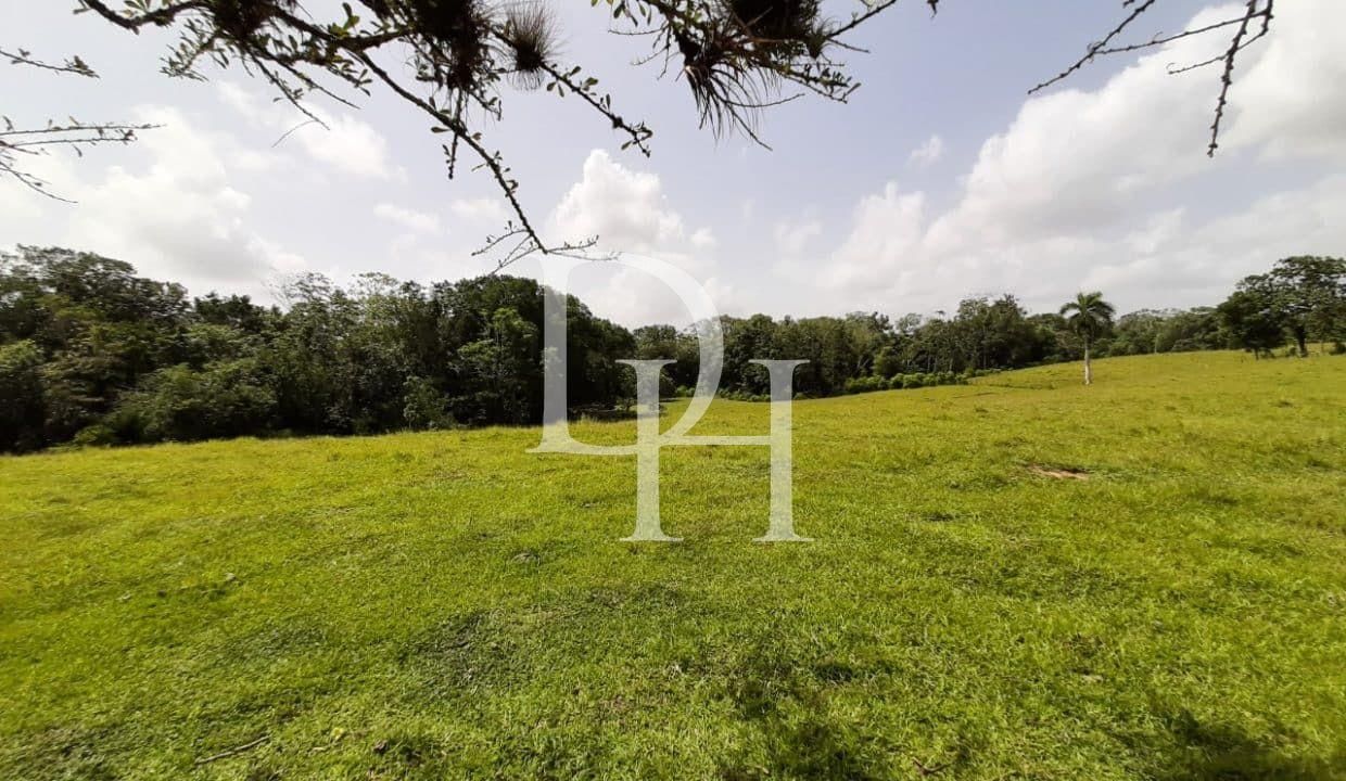 Участок в Кабарете, Доминиканская республика, 536 924м2 - стоимость 467&nbsp;000$ - Ref: 79555 фото 5