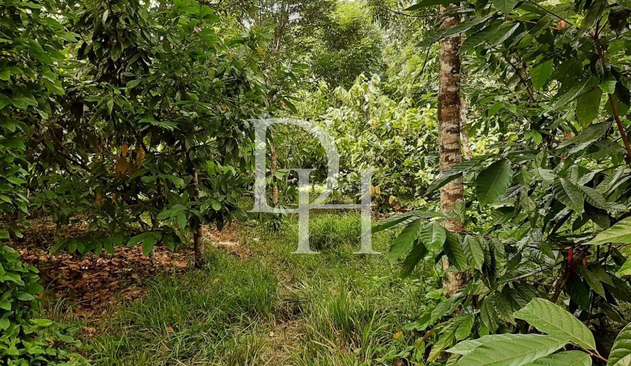 Участок в Кабарете, Доминиканская республика, 536 924м2 - стоимость 467&nbsp;000$ - Ref: 79555 фото 6