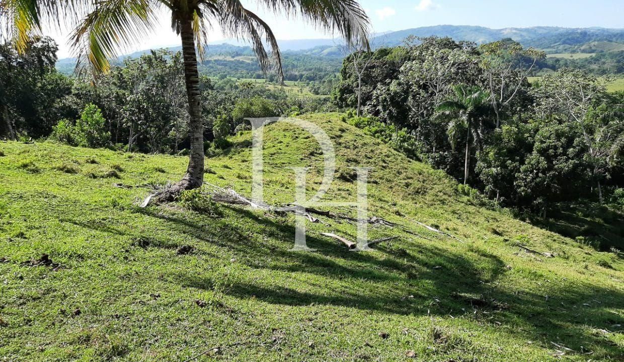 Участок в Кабарете, Доминиканская республика, 536 924м2 - стоимость 467&nbsp;000$ - Ref: 79555 фото 9