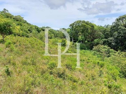 Участок в Сосуа, Доминиканская республика, 45 000м2 - стоимость 1&nbsp;000&nbsp;000$ - Ref: 79563 фото 5