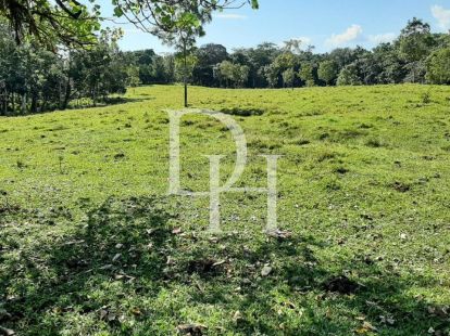 Участок в Кабарете, Доминиканская республика, 536 924м2 - стоимость 467&nbsp;000$ - Ref: 79555 фото 10