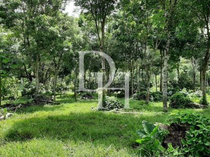 Участок в Кабарете, Доминиканская республика, 536 924м2 - стоимость 467&nbsp;000$ - Ref: 79555 фото 12