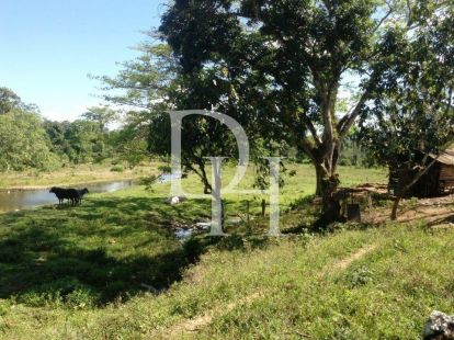 Участок в Кабарете, Доминиканская республика, 536 924м2 - стоимость 467&nbsp;000$ - Ref: 79555 фото 14