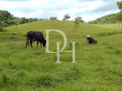 Участок в Кабарете, Доминиканская республика, 536 924м2 - стоимость 467&nbsp;000$ - Ref: 79555 фото 2