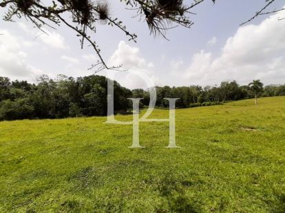 Участок в Кабарете, Доминиканская республика, 536 924м2 - стоимость 467&nbsp;000$ - Ref: 79555 фото 5