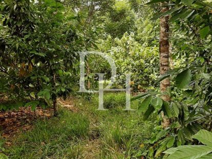 Участок в Кабарете, Доминиканская республика, 536 924м2 - стоимость 467&nbsp;000$ - Ref: 79555 фото 6