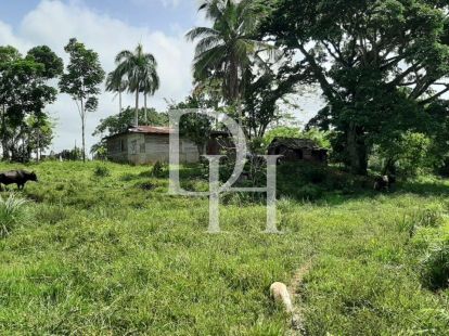 Участок в Кабарете, Доминиканская республика, 536 924м2 - стоимость 467&nbsp;000$ - Ref: 79555 фото 8