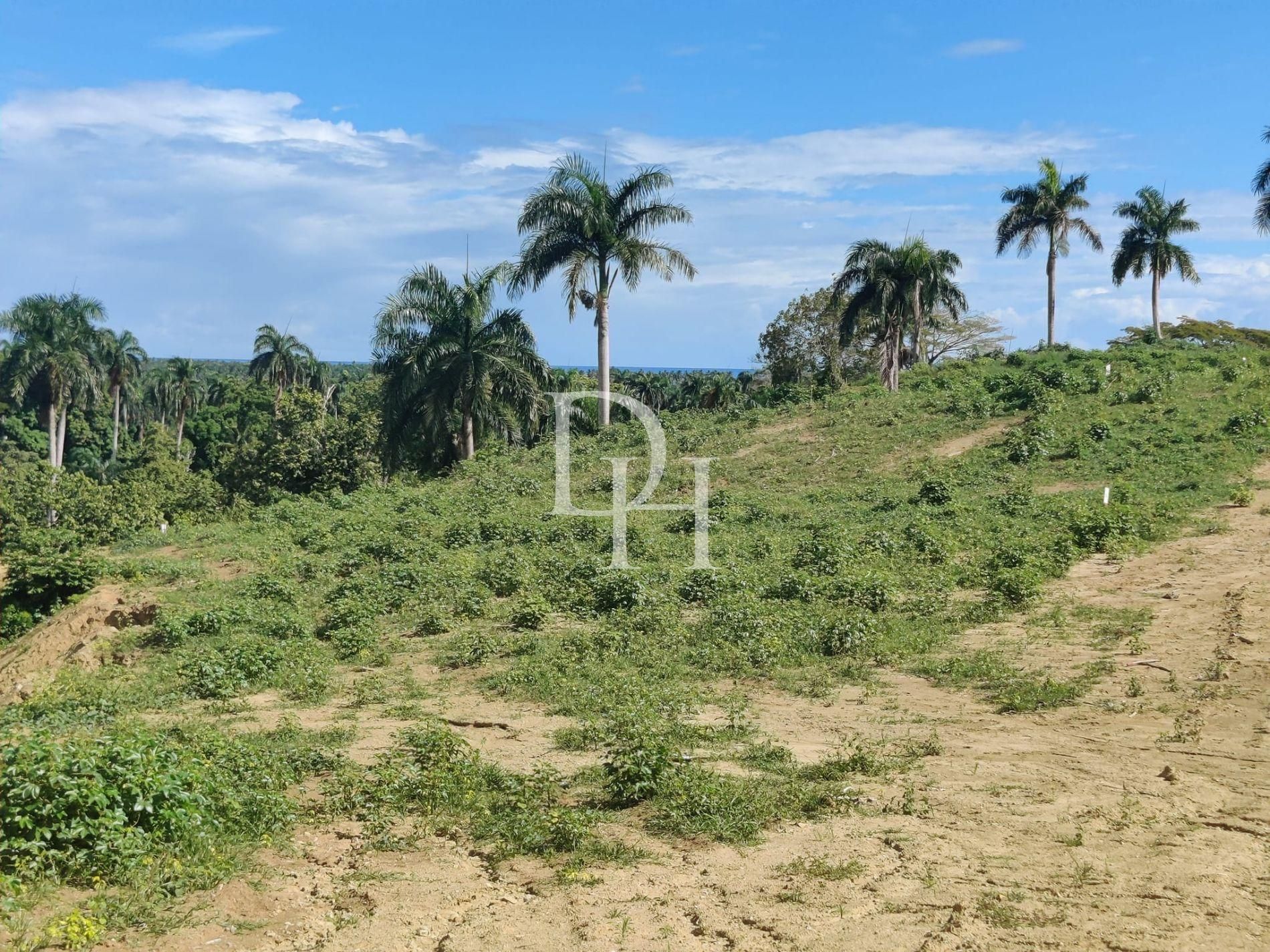 Участок в Кабарете, Доминиканская республика, 700м2 - стоимость 35&nbsp;000$ - Ref: 79590 фото 1