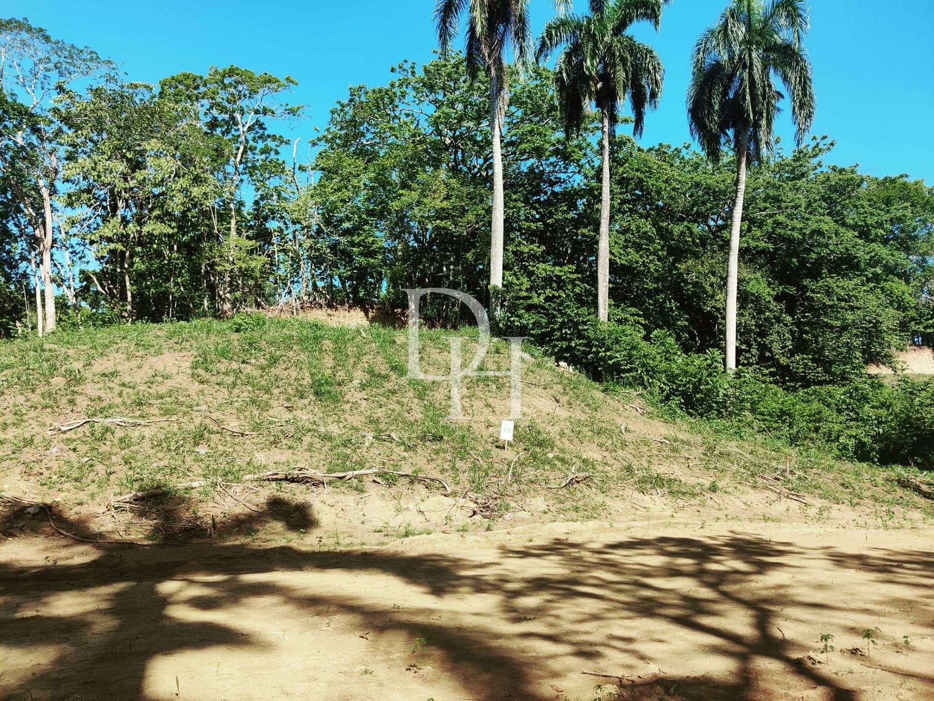 Участок в Кабарете, Доминиканская республика, 700м2 - стоимость 35&nbsp;000$ - Ref: 79590 фото 3