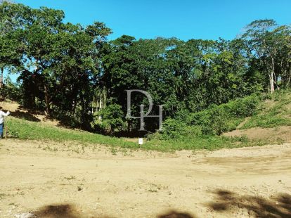 Участок в Кабарете, Доминиканская республика, 700м2 - стоимость 35&nbsp;000$ - Ref: 79590 фото 8