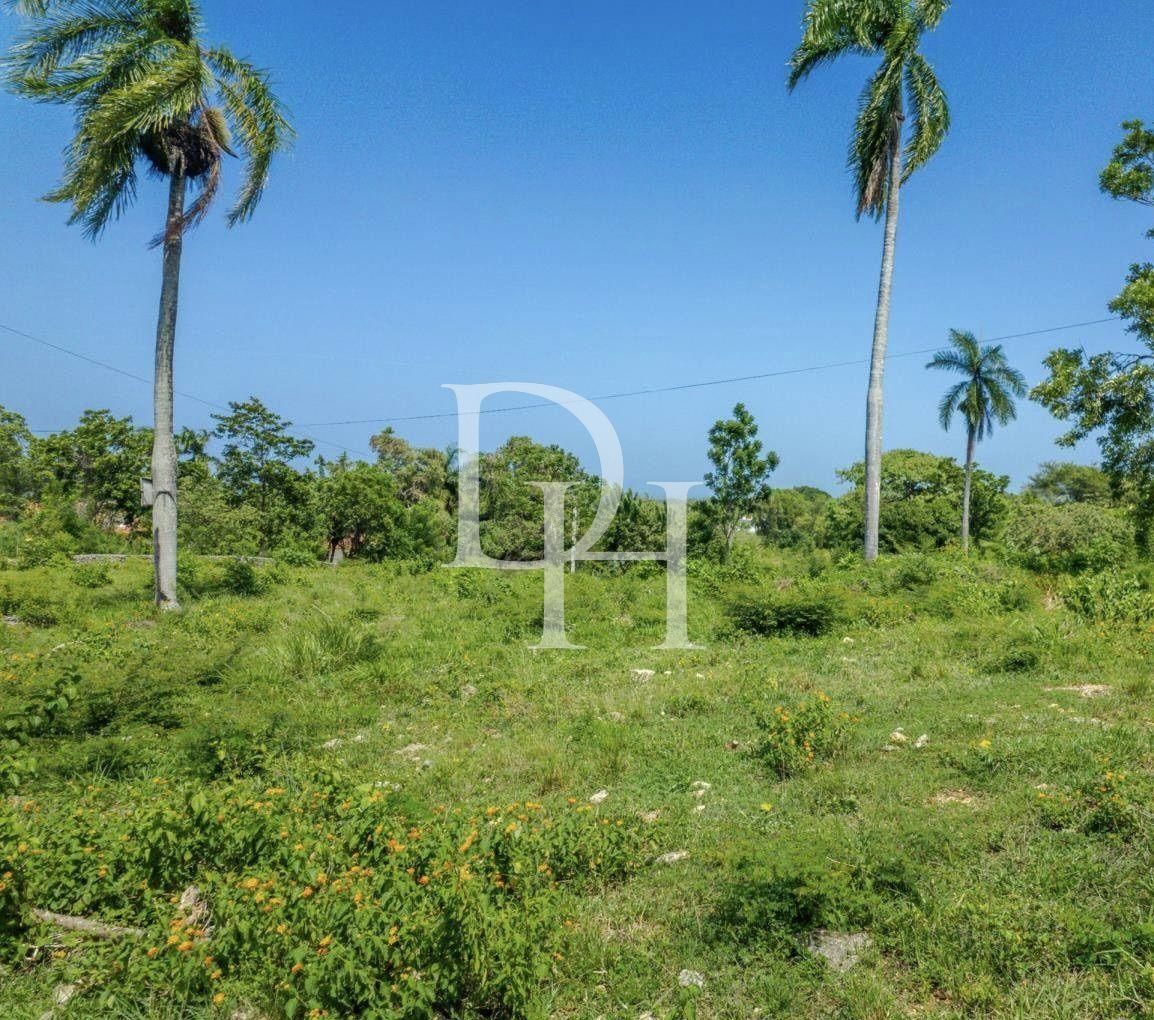 Участок в Сосуа, Доминиканская республика, 25 000м2 - стоимость 500&nbsp;000$ - Ref: 79631 фото 1