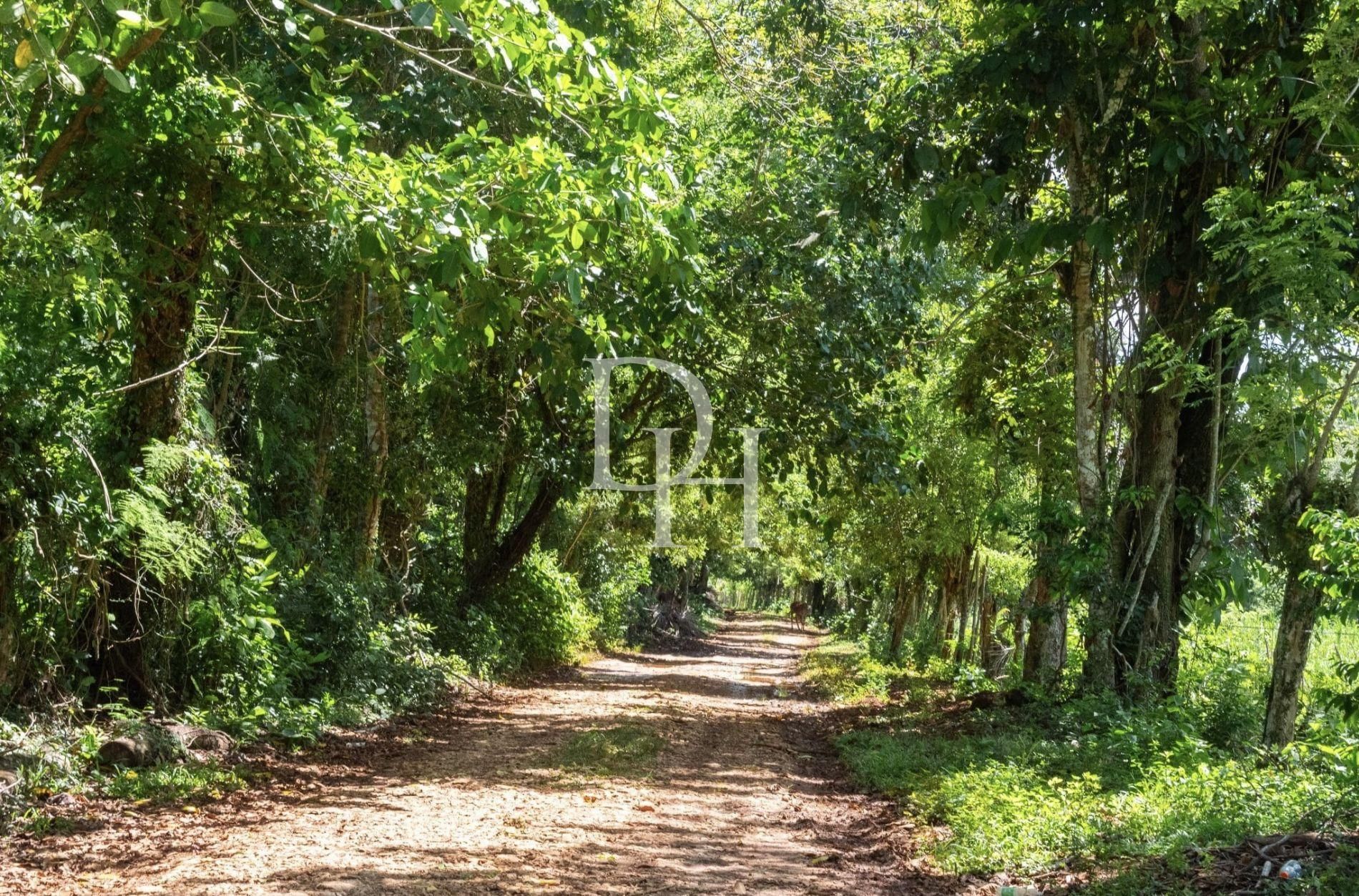Land in Cabarete, Dominican Republic, 42 313m2 - for 790&nbsp;000$ - Ref: 79630 photo 1