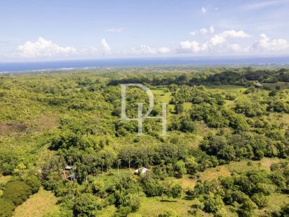 Land in Cabarete, Dominican Republic, 42 313m2 - for 790&nbsp;000$ - Ref: 79630 photo 2