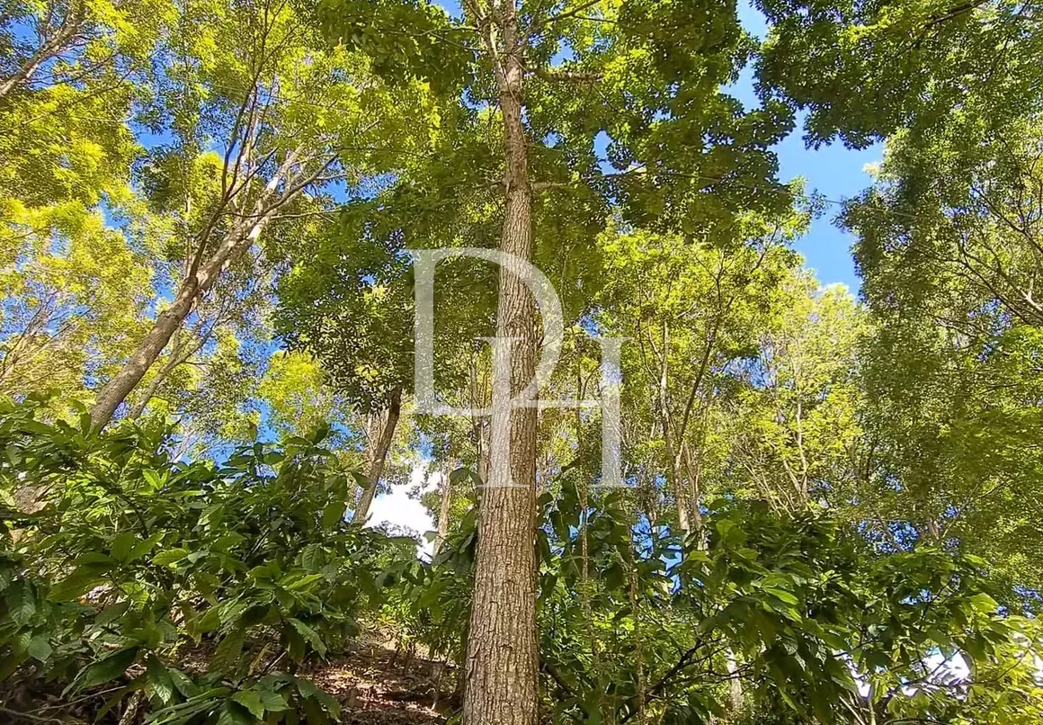 Участок в Пуэрто-Плата, Доминиканская республика, 3 200 000м2 - Ref: 79654 фото 2