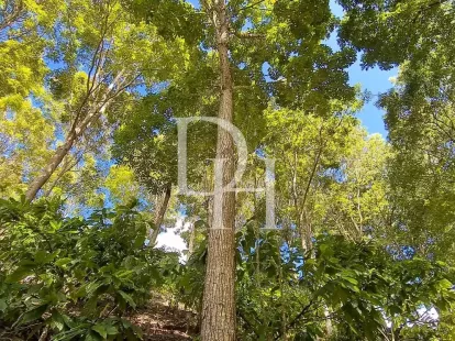 Участок в Пуэрто-Плата, Доминиканская республика, 3 200 000м2 - Ref: 79654 фото 2