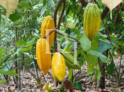 Участок в Пуэрто-Плата, Доминиканская республика, 3 200 000м2 - Ref: 79654 фото 3