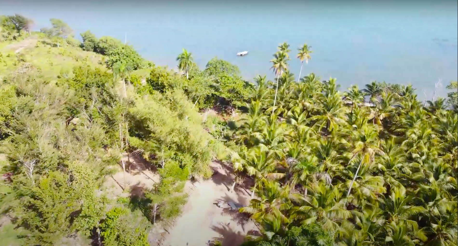 Участок в Самане, Доминиканская республика, 122 759м2 - стоимость 3&nbsp;065&nbsp;000$ - Ref: 79693 фото 10