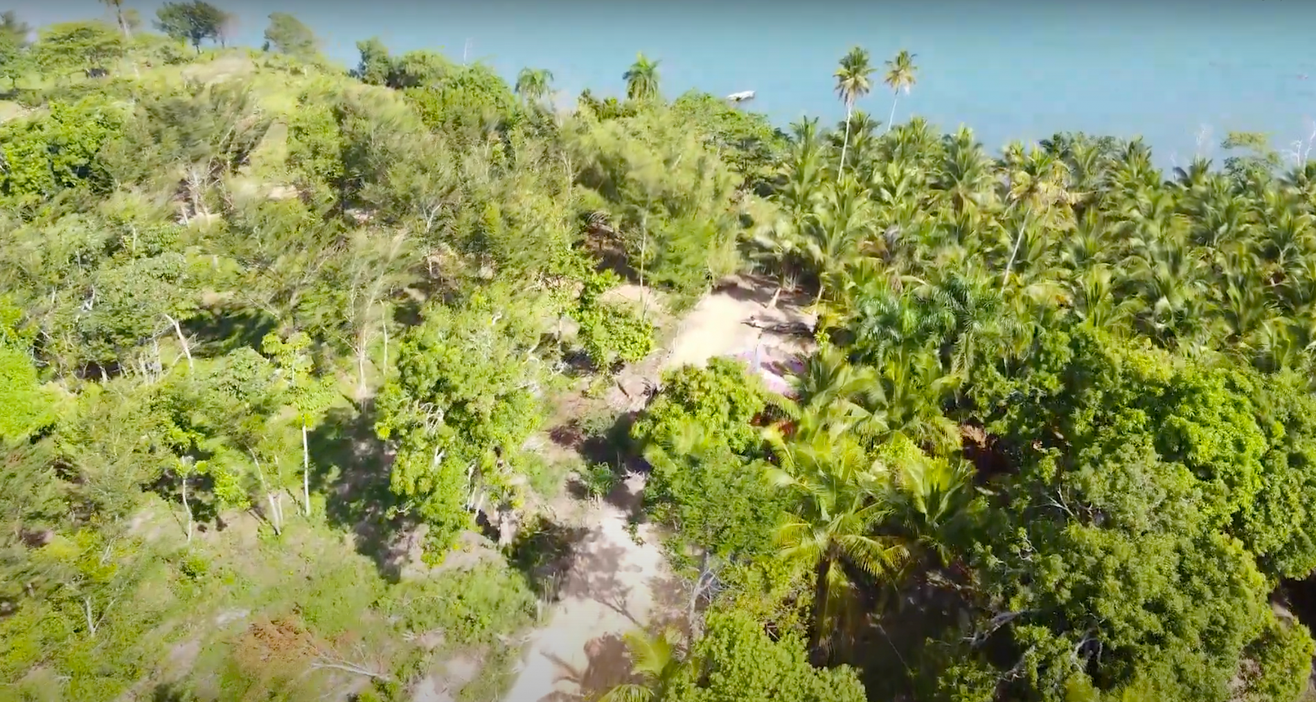 Участок в Самане, Доминиканская республика, 122 759м2 - стоимость 3&nbsp;065&nbsp;000$ - Ref: 79693 фото 11