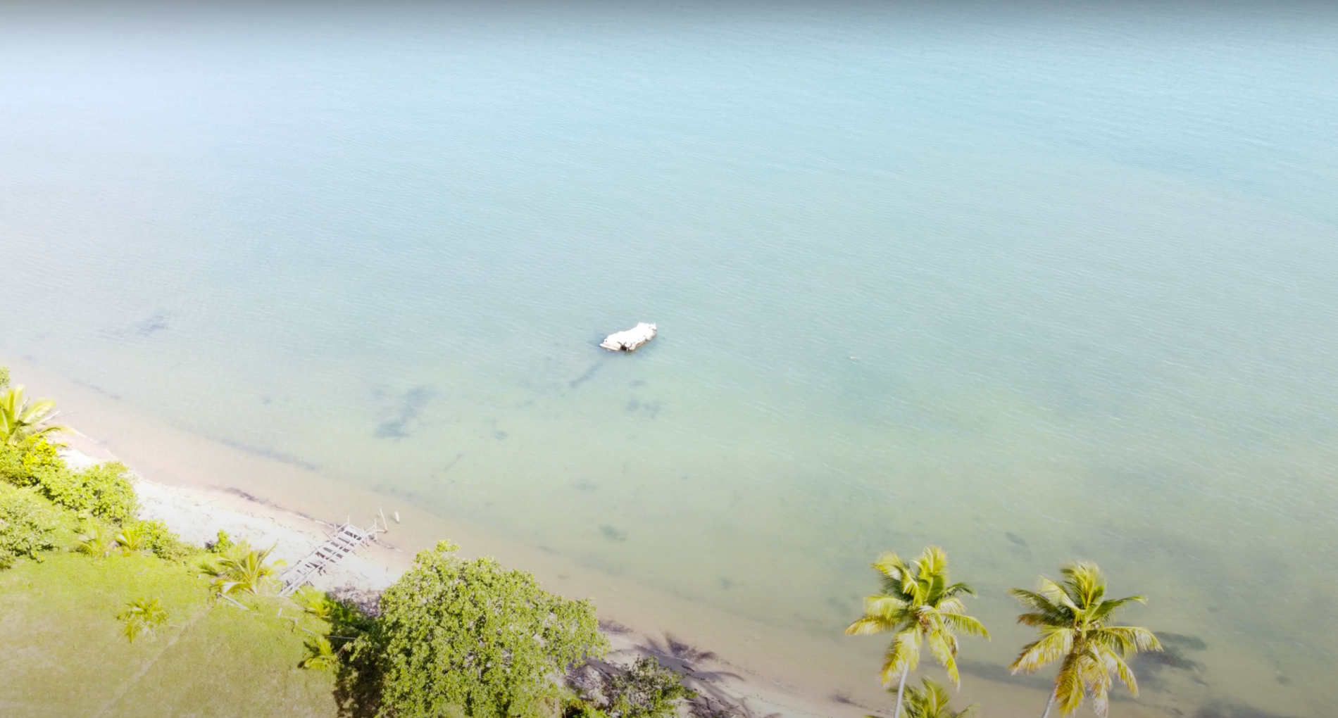 Участок в Самане, Доминиканская республика, 122 759м2 - стоимость 3&nbsp;065&nbsp;000$ - Ref: 79693 фото 7