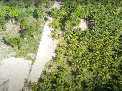 Участок в Самане, Доминиканская республика, 122 759м2 - стоимость 3&nbsp;065&nbsp;000$ - Ref: 79693 фото 8