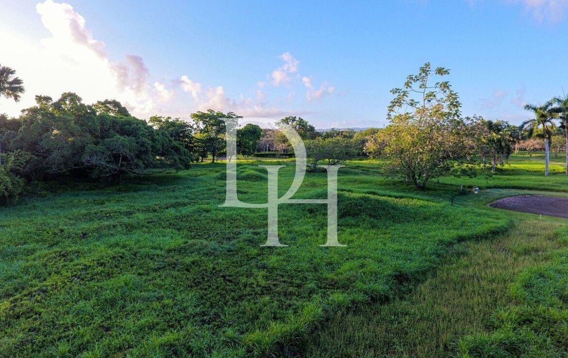 Участок в Кабарете, Доминиканская республика, 3 954м2 - стоимость 593&nbsp;000$ - Ref: 79696 фото 6