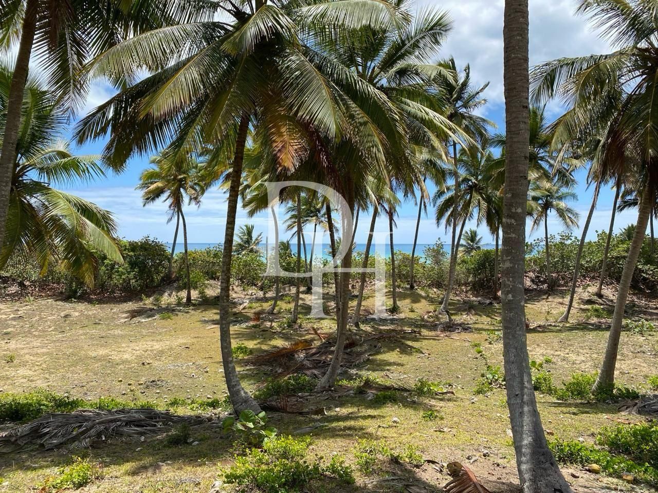Участок в Кабарете, Доминиканская республика, 2 000м2 - стоимость 90&nbsp;000$ - Ref: 79695 фото 2