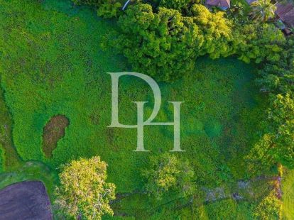 Участок в Кабарете, Доминиканская республика, 3 954м2 - стоимость 593&nbsp;000$ - Ref: 79696 фото 5