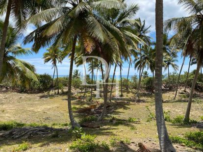 Участок в Кабарете, Доминиканская республика, 2 000м2 - стоимость 90&nbsp;000$ - Ref: 79695 фото 2