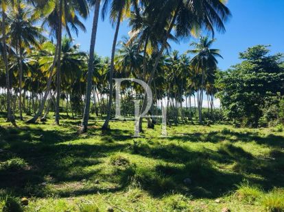 Участок в Кабарете, Доминиканская республика, 2 000м2 - стоимость 90&nbsp;000$ - Ref: 79695 фото 4