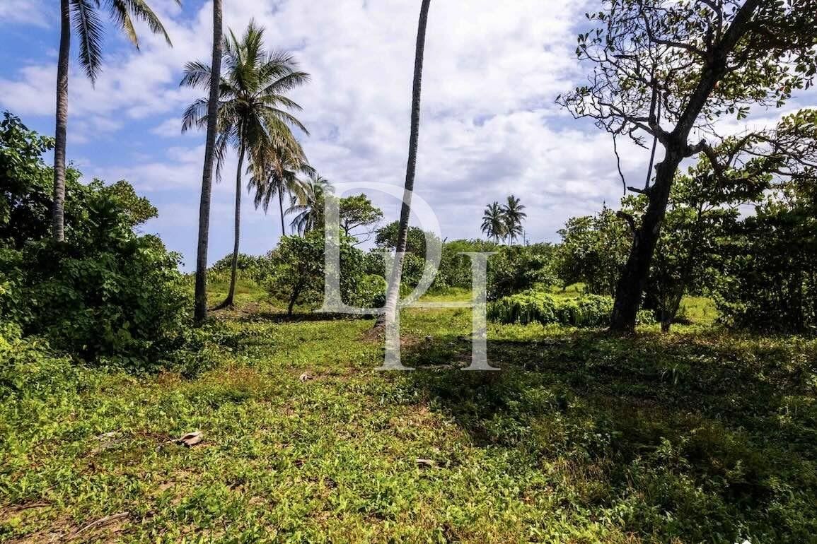 Участок в Кабарете, Доминиканская республика, 1 084м2 - стоимость 540&nbsp;000$ - Ref: 79732 фото 9