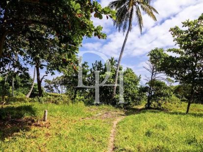 Участок в Кабарете, Доминиканская республика, 1 084м2 - стоимость 540&nbsp;000$ - Ref: 79732 фото 8