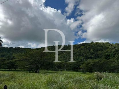 Участок в Кабрера, Доминиканская республика, 114 200м2 - Ref: 79729 фото 2