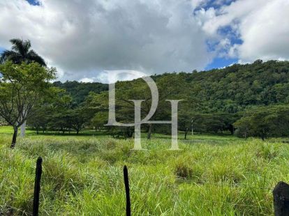 Участок в Кабрера, Доминиканская республика, 114 200м2 - Ref: 79729 фото 3