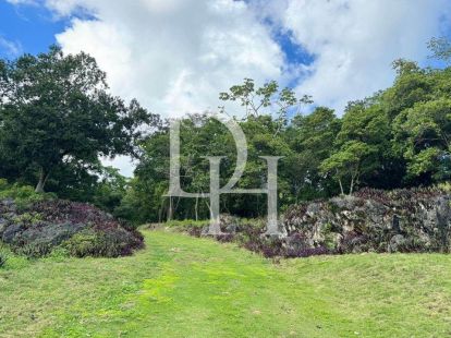 Участок в Кабрера, Доминиканская республика, 114 200м2 - Ref: 79729 фото 5