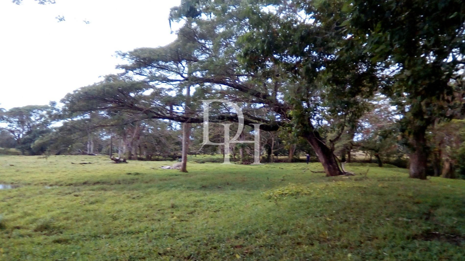 Участок в Самане, Доминиканская республика, 146 000м2 - стоимость 680&nbsp;000$ - Ref: 79764 фото 1