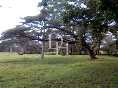 Участок в Самане, Доминиканская республика, 146 000м2 - стоимость 680&nbsp;000$ - Ref: 79764 фото 1