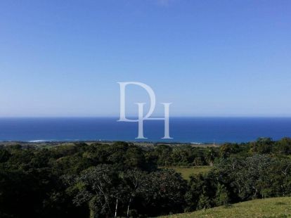 Участок в Кабрера, Доминиканская республика, 60 000м2 - Ref: 79759 фото 1