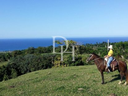 Участок в Кабрера, Доминиканская республика, 60 000м2 - Ref: 79759 фото 2