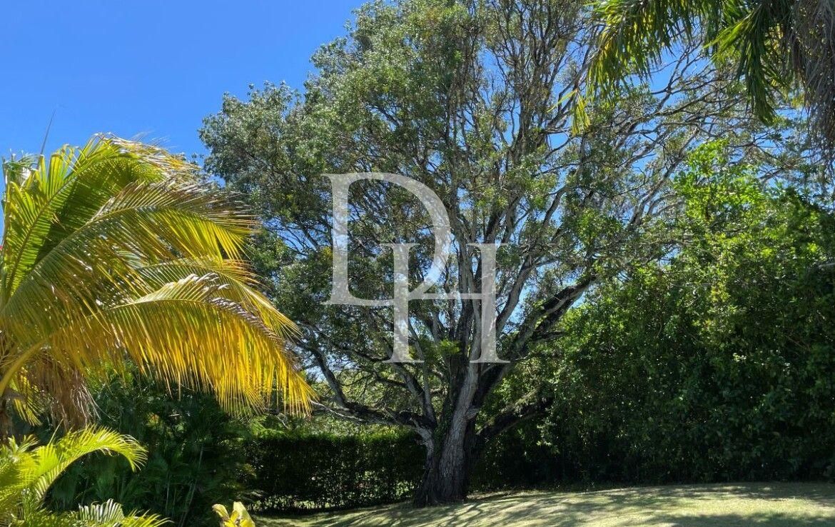 Вилла в Сосуа, Доминиканская республика, 180м2 - стоимость 320&nbsp;000$ - Ref: 79794 фото 4